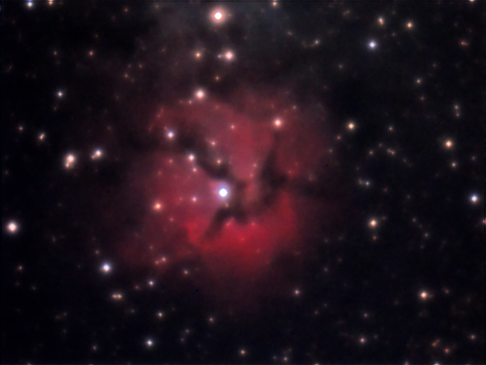 Trifid